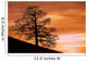 Tree Against A Sunset Sky, Nottinghamshire, England Wall Mural