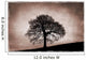 Tree Against A Stormy Sky Wall Mural
