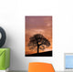 Tree Against A Sunset Sky, Nottinghamshire, England Wall Mural