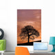 Tree Against A Sunset Sky, Nottinghamshire, England Wall Mural