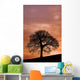 Tree Against A Sunset Sky, Nottinghamshire, England Wall Mural