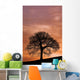 Tree Against A Sunset Sky, Nottinghamshire, England Wall Mural