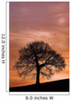 Tree Against A Sunset Sky, Nottinghamshire, England Wall Mural