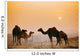 Camels At The Pushkar Camel Fair, India Wall Mural