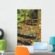 Stone Stairway In Forest Wall Mural