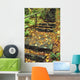 Stone Stairway In Forest Wall Mural
