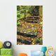 Stone Stairway In Forest Wall Mural