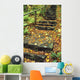 Stone Stairway In Forest Wall Mural