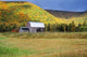 Old Barn In The Fall, Nova Scotia, Canada Wall Mural