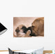 Puggle Welpe Ksst Wall Mural