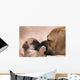 Puggle Welpe Ksst Wall Mural
