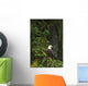 Eagle In The Woods Wall Mural