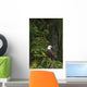 Eagle In The Woods Wall Mural