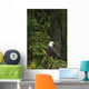 Eagle In The Woods Wall Mural