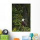 Eagle In The Woods Wall Mural