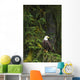 Eagle In The Woods Wall Mural