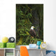 Eagle In The Woods Wall Mural