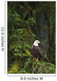 Eagle In The Woods Wall Mural