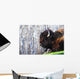 Bison Wall Mural