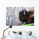 Bison Wall Mural