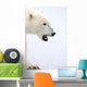 Polar Bear Wall Decal