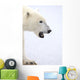 Polar Bear Wall Decal