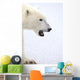 Polar Bear Wall Decal