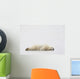 Polar Bear Laying Down Wall Mural