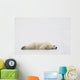 Polar Bear Laying Down Wall Mural