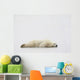 Polar Bear Laying Down Wall Mural