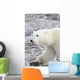 A Polar Bear Wall Mural