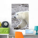 A Polar Bear Wall Mural