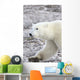 A Polar Bear Wall Mural