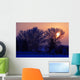 Sun Peeking Through Some Trees Wall Mural