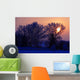 Sun Peeking Through Some Trees Wall Mural