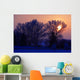 Sun Peeking Through Some Trees Wall Mural