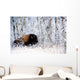 Buffalo In The Snow Wall Mural