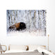 Buffalo In The Snow Wall Mural