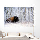 Buffalo In The Snow Wall Mural