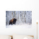 Bison In The Snow, Elk Island National Park, Alberta, Canada Wall Mural