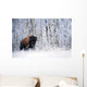 Bison In The Snow, Elk Island National Park, Alberta, Canada Wall Mural