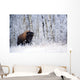 Bison In The Snow, Elk Island National Park, Alberta, Canada Wall Mural