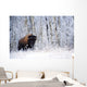 Bison In The Snow, Elk Island National Park, Alberta, Canada Wall Mural