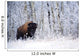 Bison In The Snow, Elk Island National Park, Alberta, Canada Wall Mural