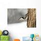Bird On The Side Of A Tree Wall Mural