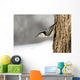 Bird On The Side Of A Tree Wall Mural
