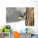 Bird On The Side Of A Tree Wall Mural
