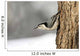 Bird On The Side Of A Tree Wall Mural