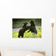 Two Grizzly Bears Fighting Wall Mural