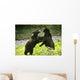 Two Grizzly Bears Fighting Wall Mural